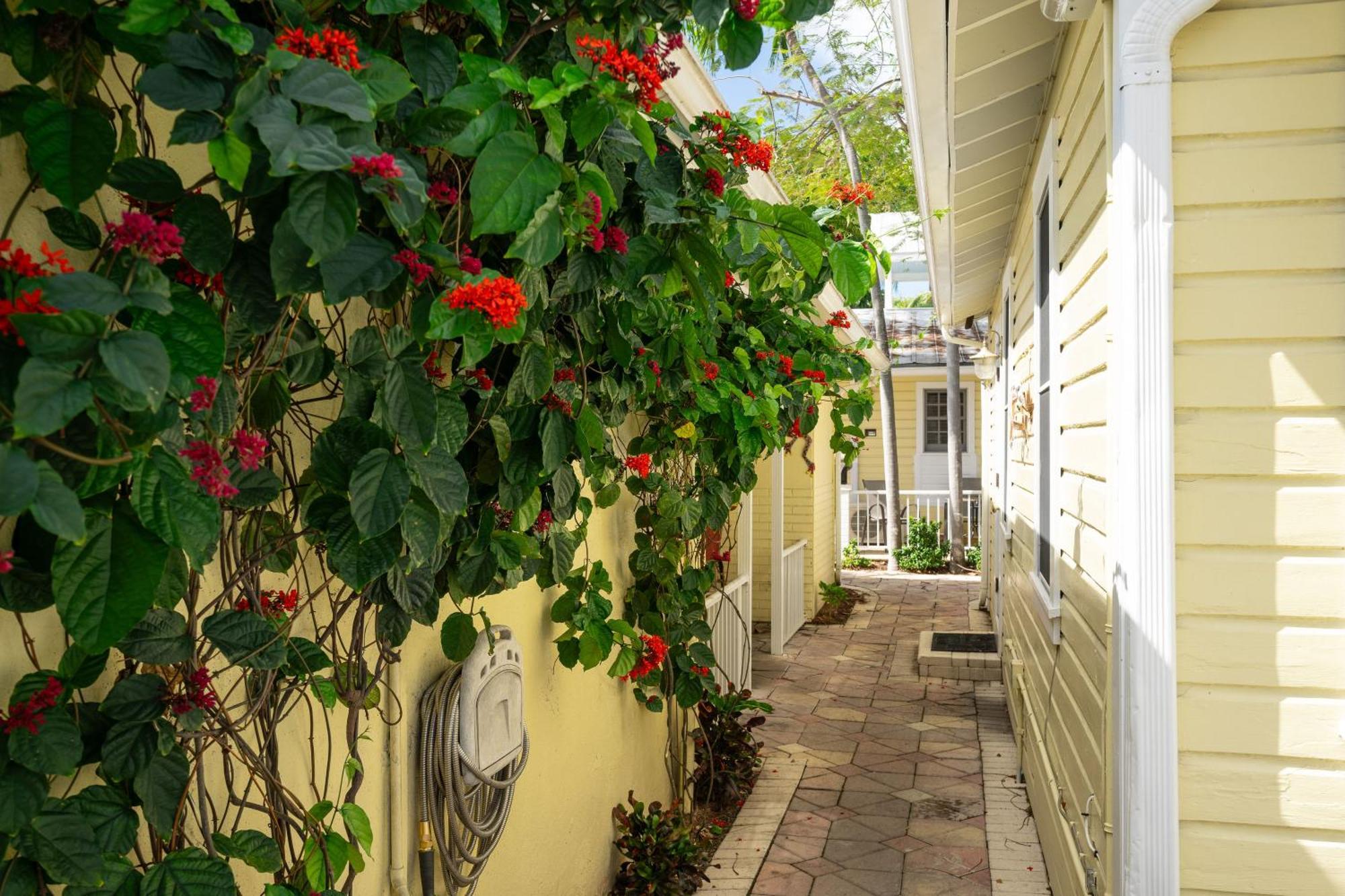 The Cozy Little Cottage Key West Dış mekan fotoğraf
